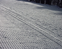 Profesionalne najeta stopa rolbou